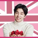 더 브리티쉬 이미지