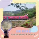 마사로 | 김해 와인동굴 방문 후기 feat. 입장료 시간 주차