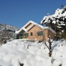 산골집 Daum카페