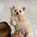 유독이쁨 이미지