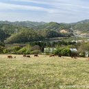 강원한우체험농장 이미지