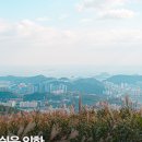 땅뫼산산책로변 공중화장실 이미지