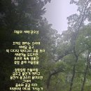 미몽 티스토리