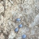 재석농장 이미지