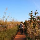 ACC 산책 이미지