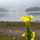 갈맷길 5코스 5-2구간 이미지