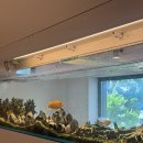 세븐일레븐 세종조치원남리점 | [세종 조치원] 조치원디저트카페/조치원커피 이색 떡카페~모시울, 솔직 리뷰 후기!