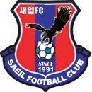 새일F.C 회칙 이미지