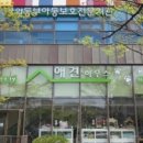 강릉애견하우스 | 강릉애견용품도 한 번에 챙기는 강릉애견하우스의 진짜 매력