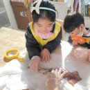 강정동-19 이미지