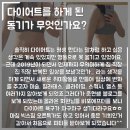 빅스짐 이미지