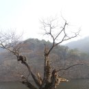 농현축산 이미지