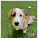 아이조아요양보호소 안양점 이미지