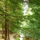 한가로이 경주 이미지