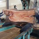 이여로403번길 이미지