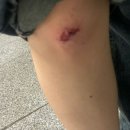 멘토르당구장 이미지