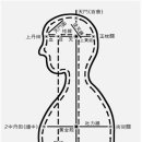 용호비결에 하수처(단전)가 2개인 이유 이미지