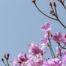 펜션 B612 이미지