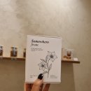 (학습다방)티블렌딩 | 성수데이트 추천 | 힐링 허브티 블렌딩 원데이클래스 썸웨어프롬 성수놀거리 후기