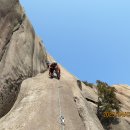 푸른솔길 이미지