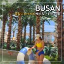 워터스톤주 | 클럽디오아시스 부산 해운대 워터파크 할인 예약 준비물