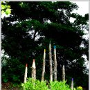 세계화석광물박물관 이미지