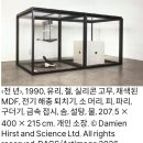 무지개약국 | 국립현대미술관 서울 데미안 허스트 전시 예약 및 도슨트, 작품해설등 관람정보와 상세 후기