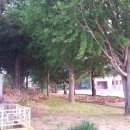 대마초등학교 이미지