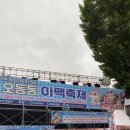 디제이케이비즈 | 켈리와 함께한 마산 ‘오동동 아맥축제’ 다녀온 후기