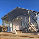 도그팰리스 이미지