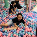 한국체대 키즈 태권도 이미지