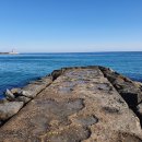 해변수산 이미지