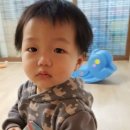 그루터기어린이집 이미지