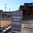 석성동헌 탱자나무 이미지