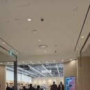 롯데프리미엄아울렛 동부산점 식당가 | 부산 기장 가볼 만한 곳 롯데 프리미엄아울렛 동부산점 후기(오션뷰 쇼핑 데이트 코스)