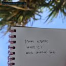 성사로 | 성당 결혼식 후기 예약 방법 혼배성사 서류 준비하기