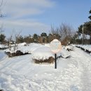 금왕(평택) 이미지