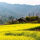 고향꽃화원 이미지