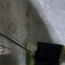 오토오아시스길동점 이미지