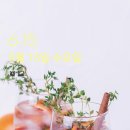 해빙데이 이미지