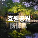 효원주유소 | [공지] 수원 밤에 갈만한곳, 효원공원에서 월화원까지 수원 야경 산책 후기