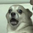 고덕반점 이미지