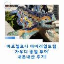 금메달 청소나라 | 바르셀로나 마이리얼트립 '가우디 종일 투어' 내돈내산 후기!