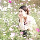 해피송 Daum카페