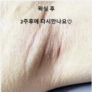 제이라라왁싱