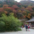 만수약국 앞 이미지