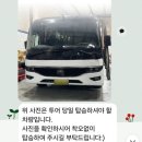 어깨동무여행사 | [시드니] 비현실적인 사막과 돌고래의 만남! 시드니 포트스테판 투어 '찐' 경험기 with 호주무한투어 🐬🏜️