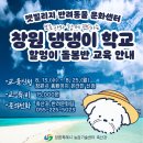 허브동물병원 | [출강 후기] 노견을 위한 홀리스틱케어 특강 @ 창원 반려동물문화센터 / 아로마테라피로 시작된 우리...
