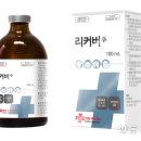 한국썸벧(주) 이미지