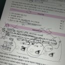미소뷰티샵 - 보성군 | 미소뷰티샵